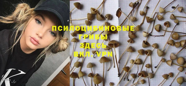 mix Арсеньев