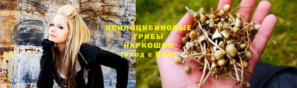 mix Аркадак